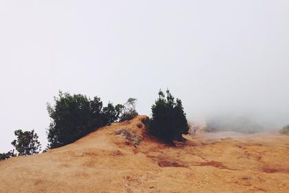 [转载]Sql Server常见面试题