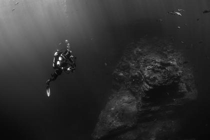 [软件].NET Reflector反编译工具下载