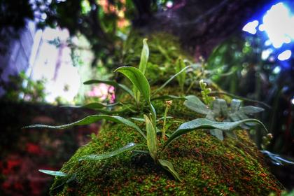 [原创]百度URL提交工具源码+安装包